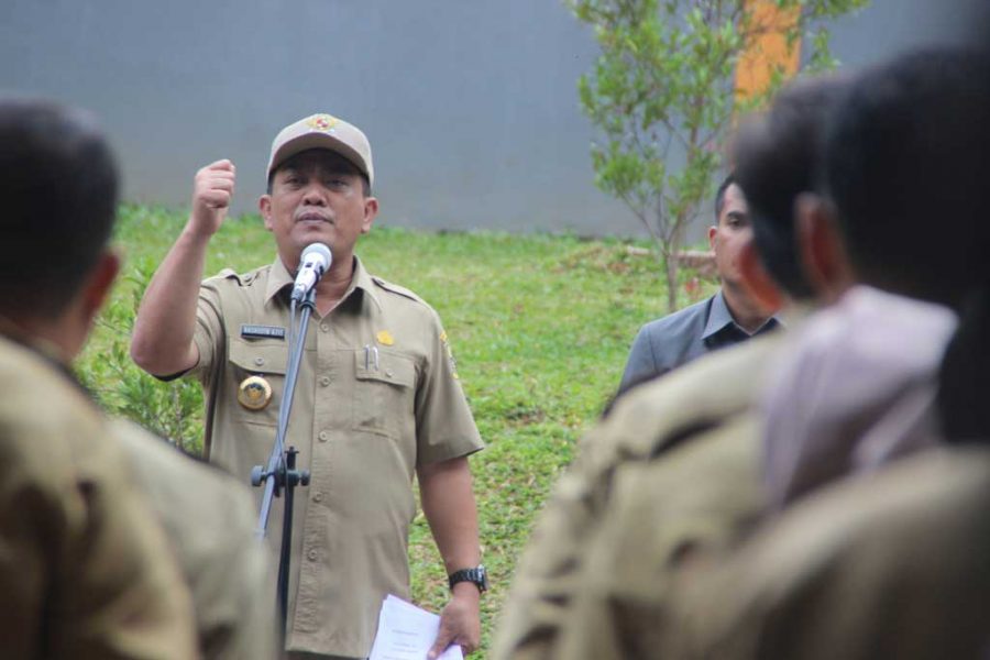 Walikota Sebut Taman Kota Mirip Semak Belukar