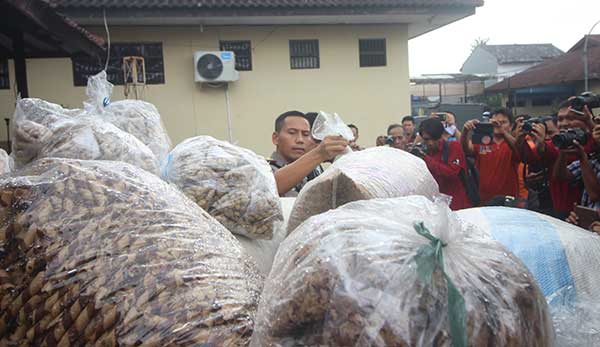 5,5 Ton Wafer Kedaluwarsa Berasal dari Dua Desa