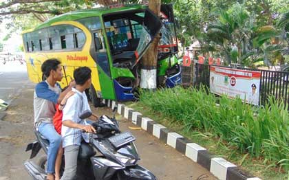 Bus Seruduk Pohon, Warga Kaget  ada Orang Nongol dari Kolong