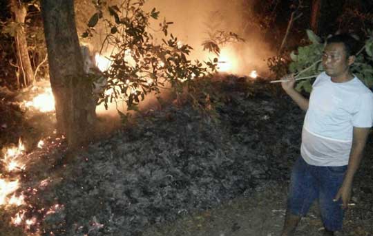 Hutan di Perbatasan Dua Desa Terbakar