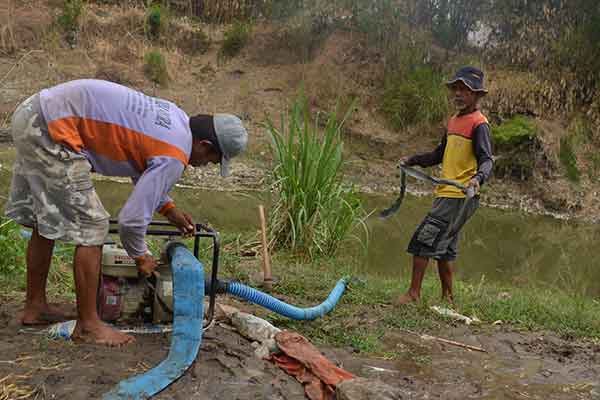 Air Makin Menipis, Petani Trauma Kemarau 2015