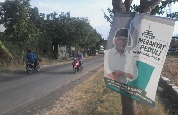 Poster Ridwan Kamil Dipaku di Pohon, Aktivis Lingkungan Minta Dicabut