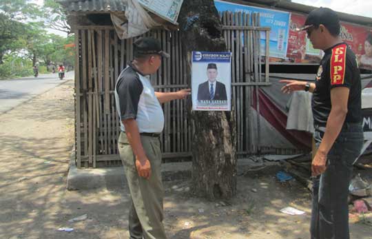 Satpol PP Geram Baliho Pilkada Dipaku di Pohon