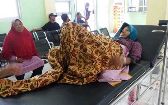 Petugas Teliti Jamur yang Meracuni Enam Warga