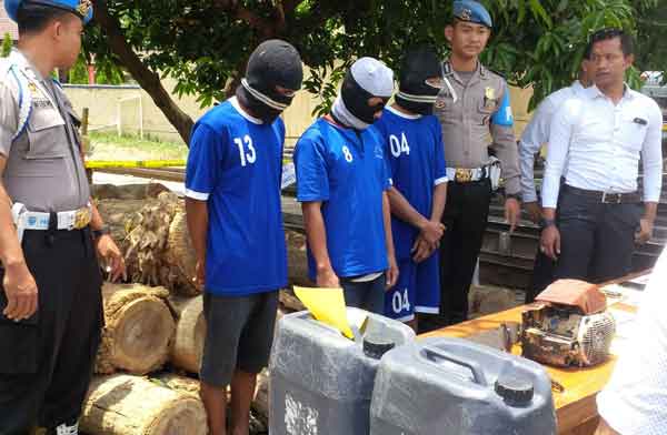 Tiga Pencuri Kayu Terancam Lima Tahun Penjara