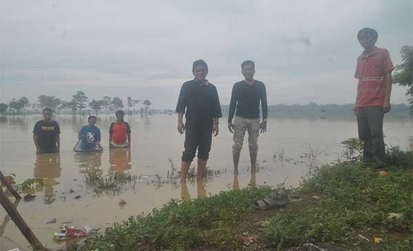 770 Hektare Sawah Terendam Banjir, Warga Waswas