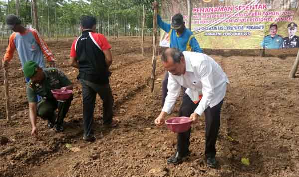 Tujuh Ribu Hektare Lahan Perhutani untuk Pengembangan Kedelai