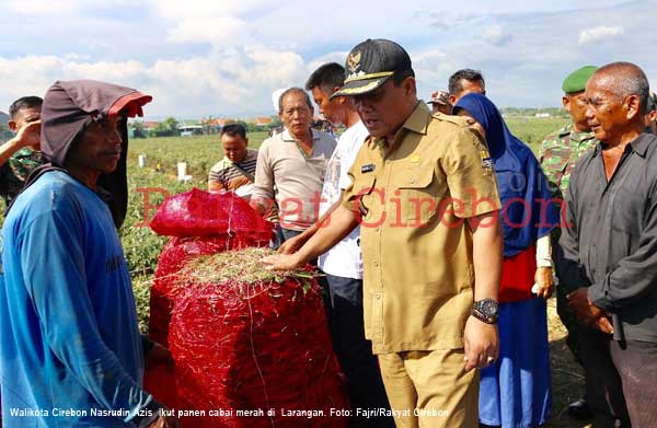 Walikota Minta Lahan Produktif  Tidak Dijual ke Pengembang Perumahan