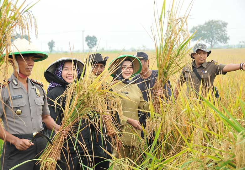 Bantu Petani, Rentang Irigasi Harus Diperbesar