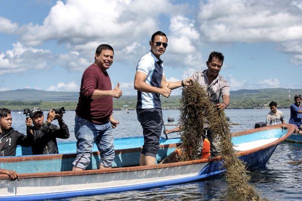 Ikut Petani Berlayar, AHY Panen Rumput Laut