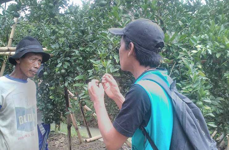 Kompepar Jeruk Segeran Giat Kampanyekan Desa Agrowisata