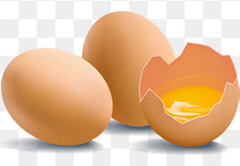 Harga Obat Suntik, Bikin Telur Ayam Naik