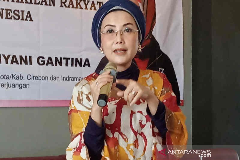 Selly Gantina Nilai Penanganan Bencana di Cirebon Kurang Serius