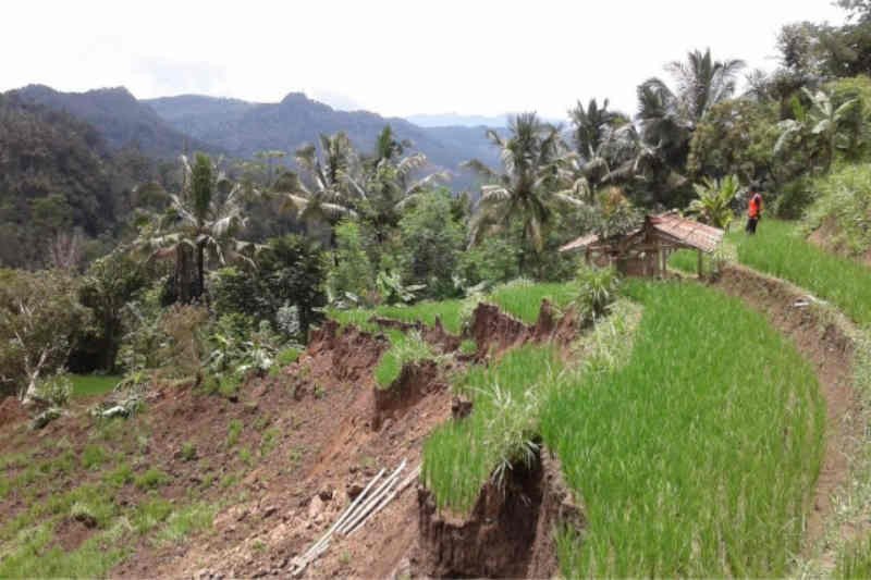 Disperindag Jawa Barat Optimalkan Pasokan Bawang Putih Lokal
