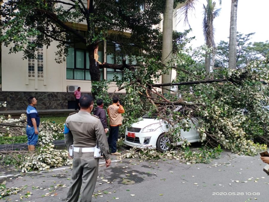 Diduga Keropos, Ranting Pohon Tumbang dan Rusak Mobil Dinas Kabag Humas