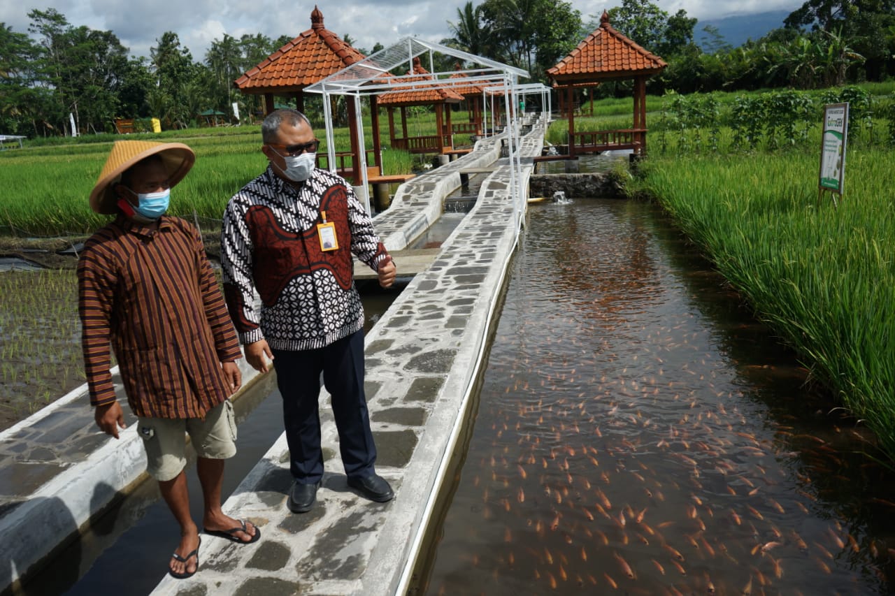 Mandiri Syariah dan Laznas Gagas Agrowisata di Yogyakarta