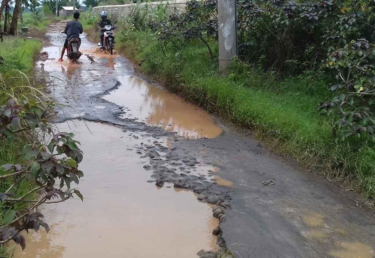 Warga Tawangsari Minta Perbaikan Jalan