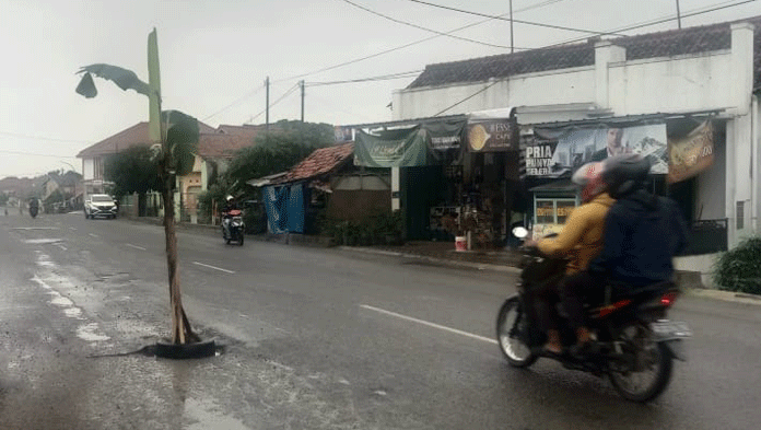 Jalan Rusak Makan Korban, Terpaksa Ditanam Pohon Pisang