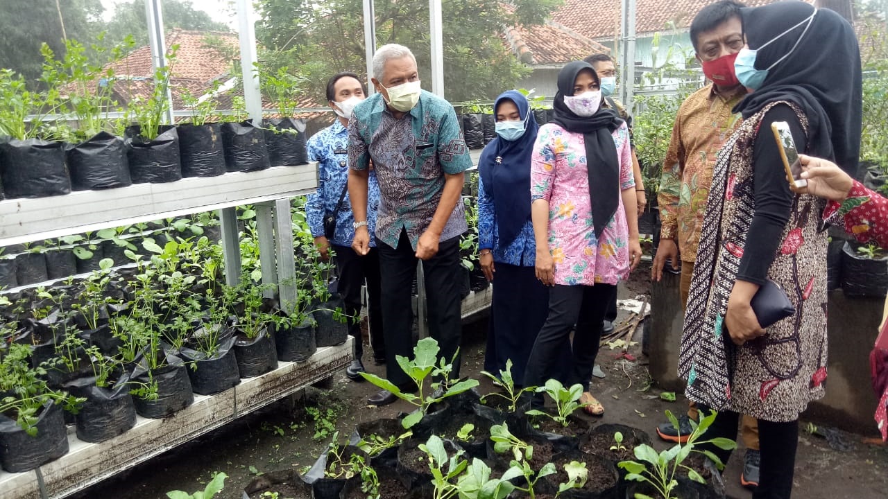 Selalu Produktif, KWT Budur Didatangi DPRD Pekalongan