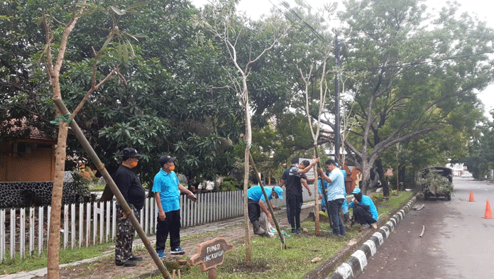 Mau Tanam Pohon di Pinggir Jalan, tapi Terkendala Reklame