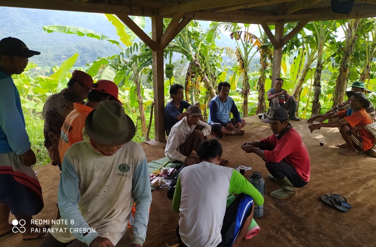 Kera Merusak Buah Muda, Petani Durian Dihantui Gagal Panen
