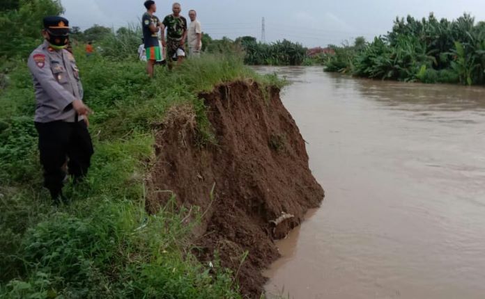 Tanggul Sungai Cipanas Longsor Diterjang Arus Deras