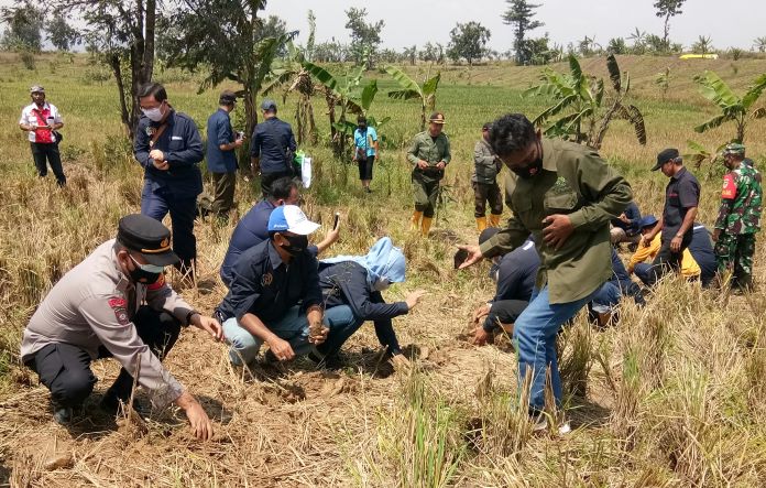 Banyak Lahan Kritis, Perhutani KPH Indramayu Konsentrasi Rehabilitasi