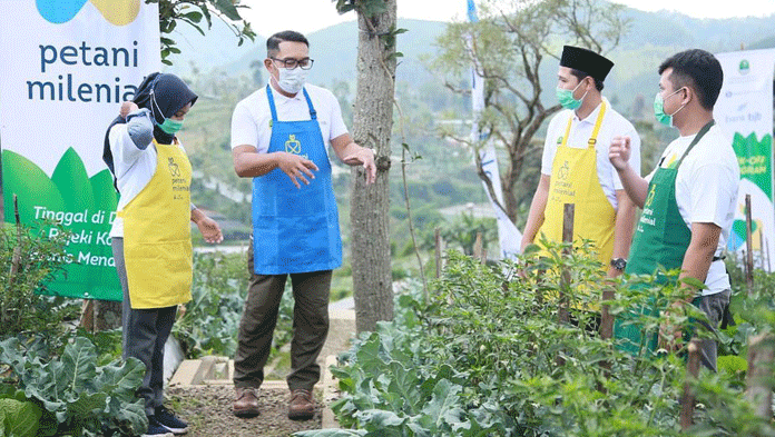 Petani Milenial Tidak Gentar Gagal, Al Mizan Siapkan Lahan 11 Hektar