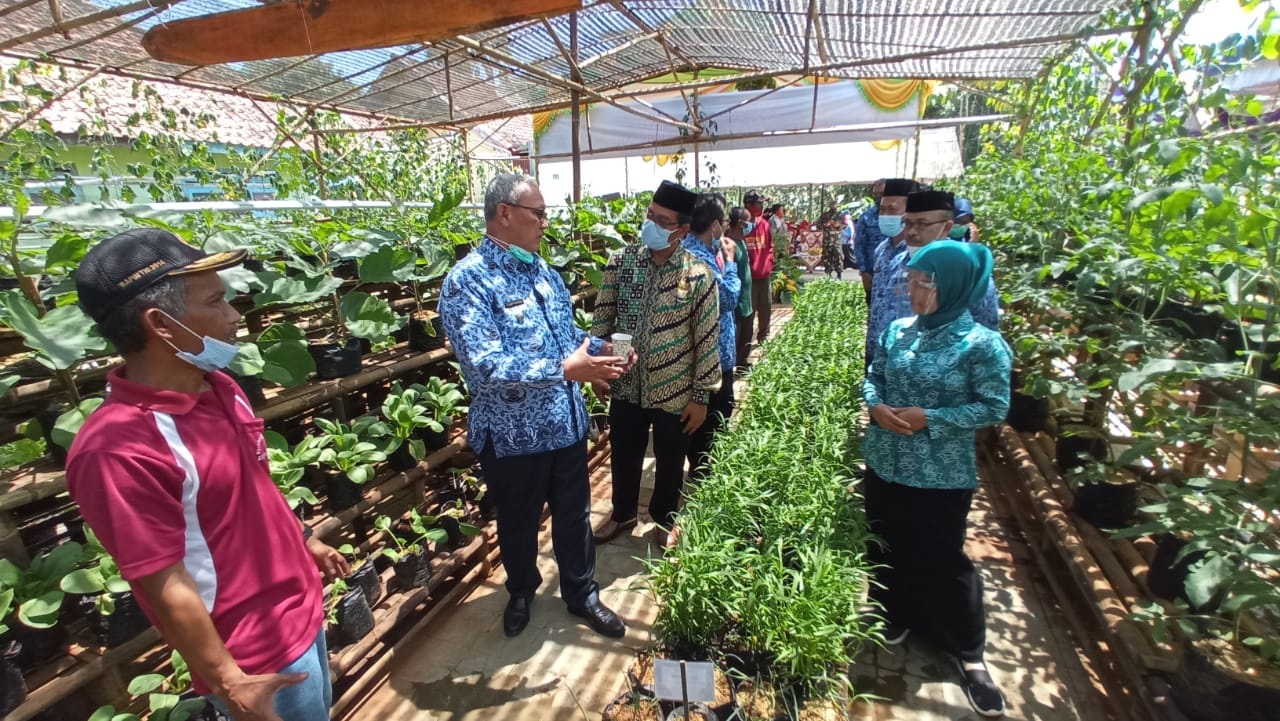 Program Bunda Menyapa, Penuhi Kebutuhan Pangan