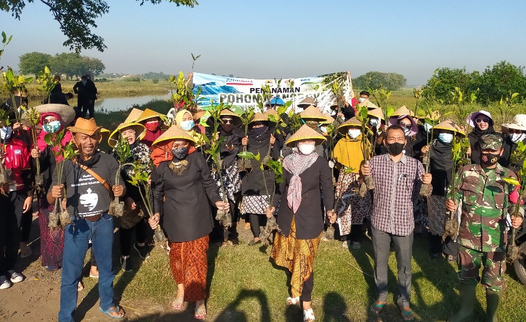 Peringati Hari Kartini dan Hari Bumi, Alfamart Tanam 1000 Bibit Mangrove di Suranenggala