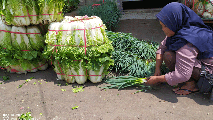 Curah Hujan Tinggi Lagi, Harga Sayuran di Pasar Anjlok