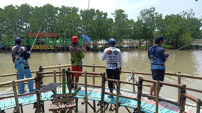 Wisata Mangrove Ambulu Curi Perhatian Mancing Mania