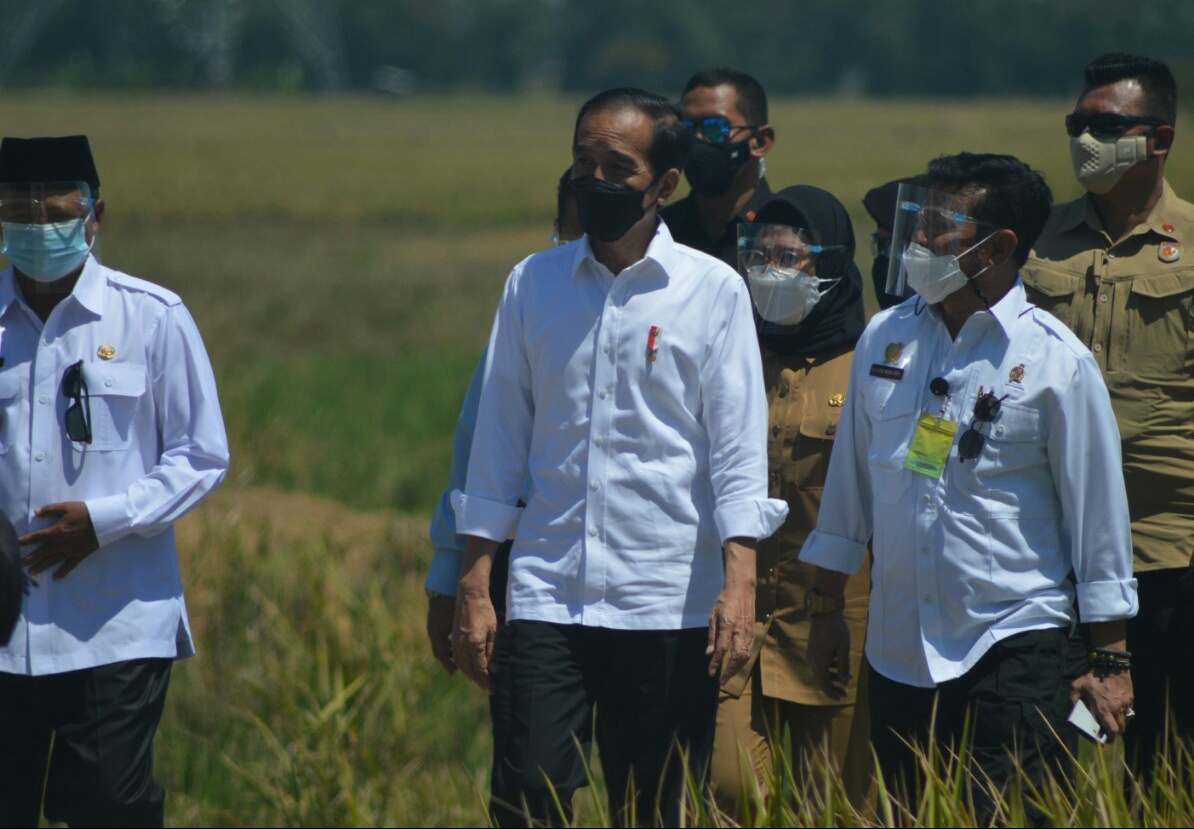 Datang ke Indramayu, Jokowi: Yang Mau Impor Beras Siapa?