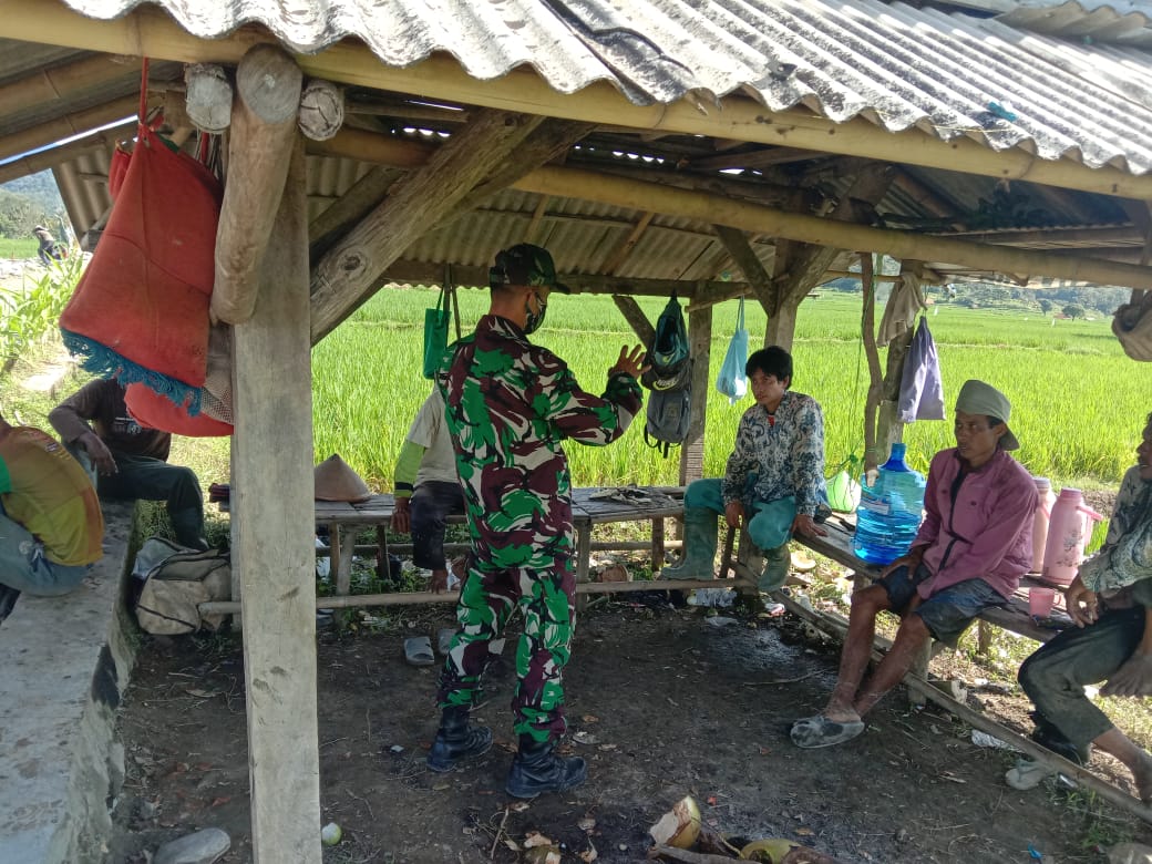 Tingkatkan Sinergitas, Babinsa Komsos Bersama Petani