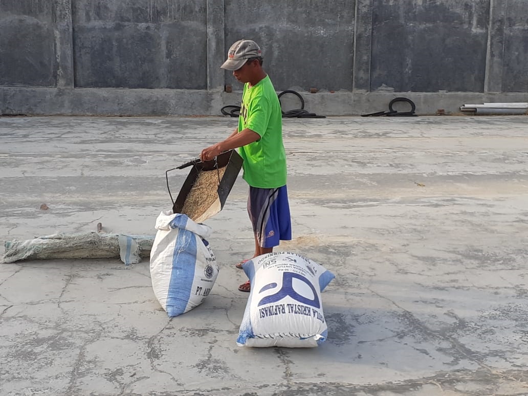 Hasil Panen Petani Kurang Maksimal