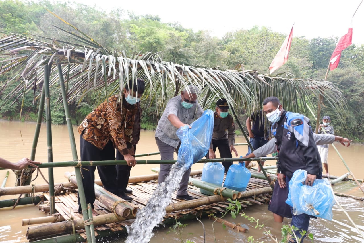 Syukuran Bendungan, Bupati Tebar Benih Ikan DiKali Cisanggarung