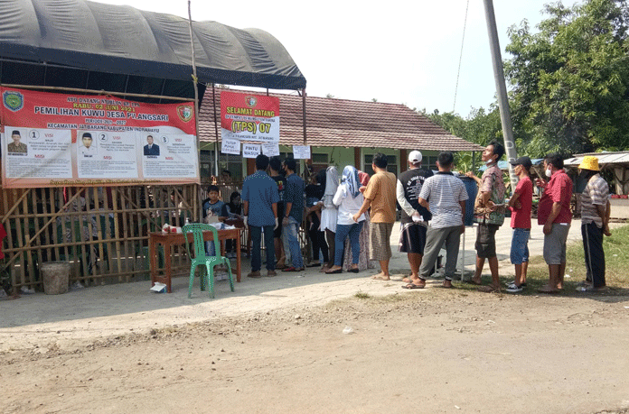 Hanya 41 Incumbent yang Terpilih di Pilwu Serentak Indramayu