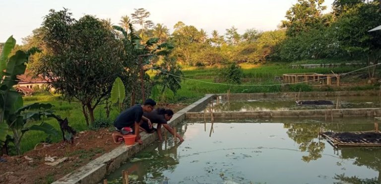 Ikan Gurame Harus Jadi Ikon Majalengka