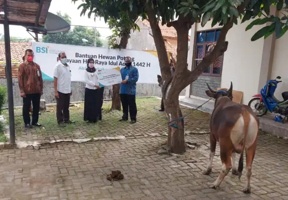 BSI Cirebon Sumbang Sapi Kurban ke IAIN Cirebon