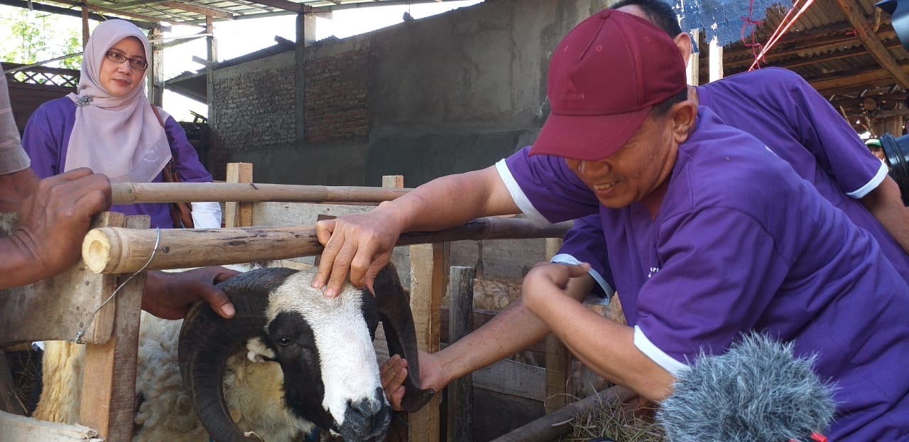 Penuhi Kebutuhan, Pedagang Hewan Kurban Bermunculan