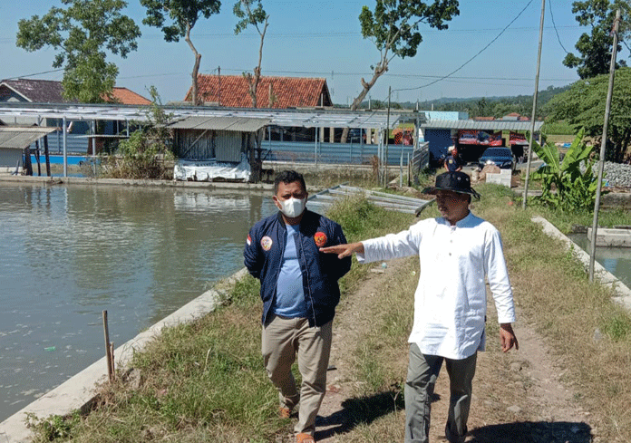 Sektor Perikanan Tidak Goyah Ditekan Pandemi