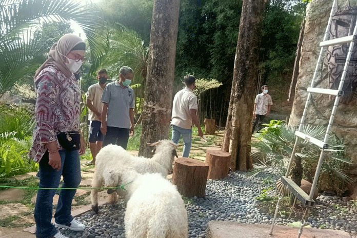 Gagas Bangun Mini Zoo, Bupati Nina Bakal Gandeng Swasta