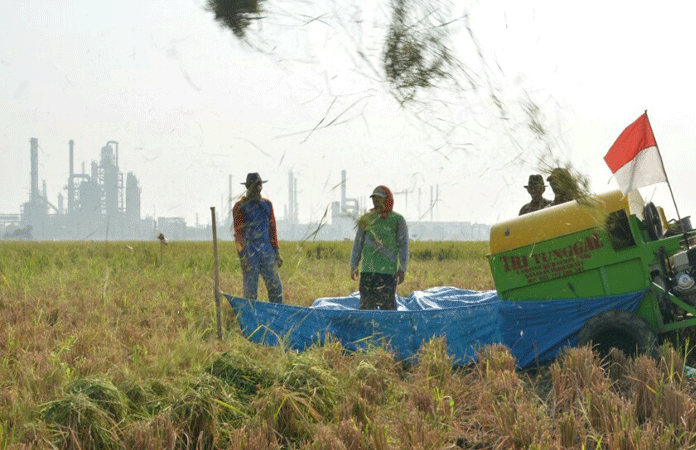 Petani di Balongan Manfaatkan Lahan Milik Pertamina RU VI