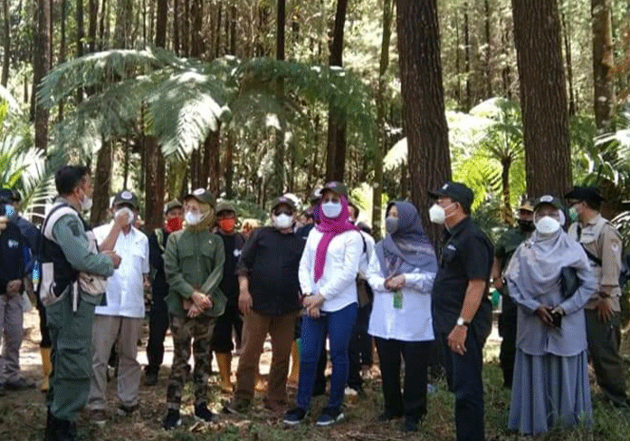 Lahan Bekas Karhutla Bisa Dimanfaatkan Masyarakat