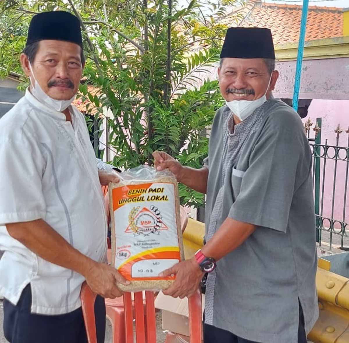 Distan Salurkan Bibit Padi MSP