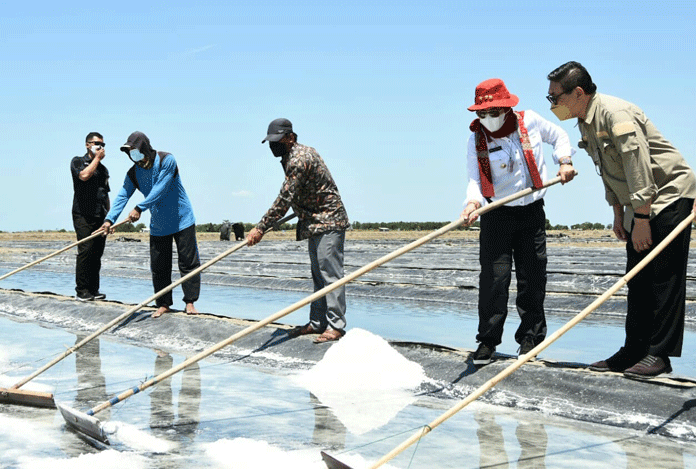 Lihat Langsung Tambak Garam, Bupati Dapat Keluhan Petambak