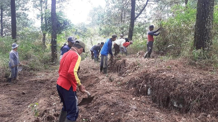 Warga Majalengka Antisipasi Kebakaran Hutan, Bikin Parit dan Patroli Keliling Hutan