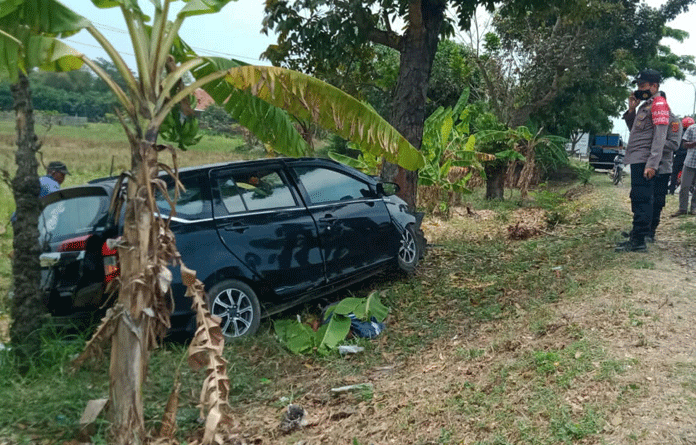 Tabrak Pohon, Pengemudi Minibus Tewas di Balik Kemudi