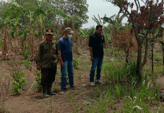 Jasad Pria Bekas Terbakar Ditemukan di Hutan Sanca