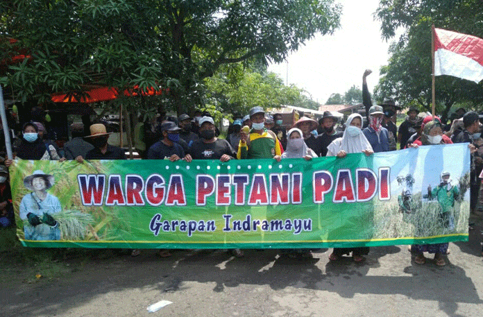 Bupati Diminta Bela Petani Penggarap Lahan Tebu HGU PG Rajawali